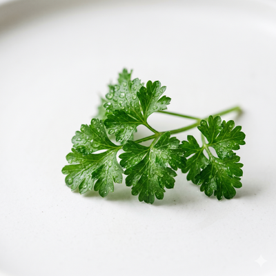 Organic Parsley Leaf